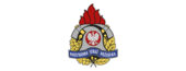 Logo PSP